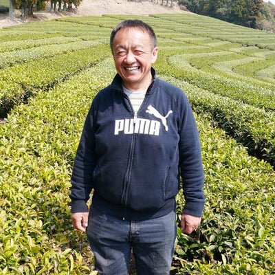 #0661.S5 Tarui Tea Farm: Organic Autumn Hojicha, Roasted Shizuoka Green Tea - Image 3